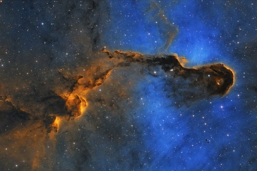 IC 1396 - Sloní chobot - detail